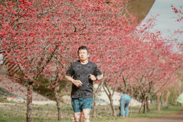 2026左岸竹東櫻花馬拉松Zhudong Sakura Marathon