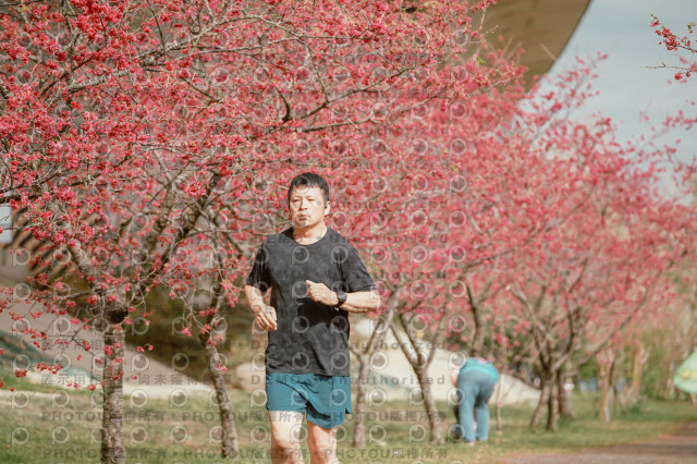 2026左岸竹東櫻花馬拉松Zhudong Sakura Marathon