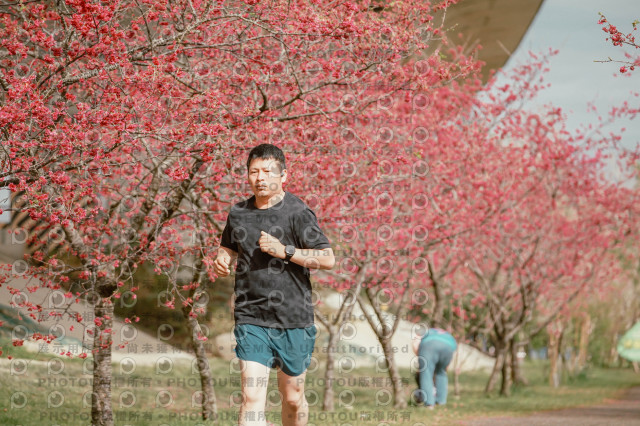 2026左岸竹東櫻花馬拉松Zhudong Sakura Marathon