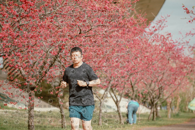 2026左岸竹東櫻花馬拉松Zhudong Sakura Marathon
