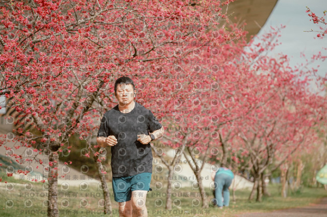 2026左岸竹東櫻花馬拉松Zhudong Sakura Marathon