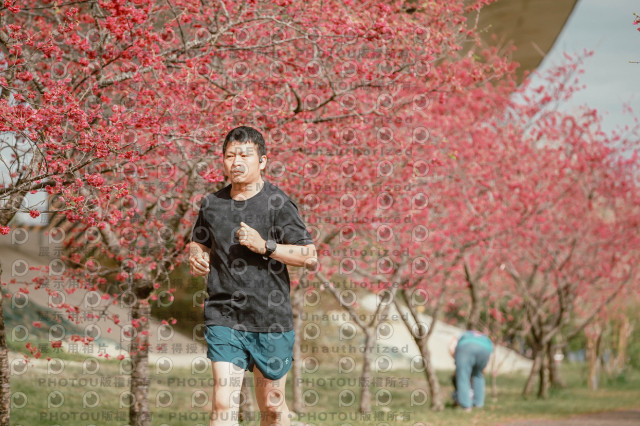 2026左岸竹東櫻花馬拉松Zhudong Sakura Marathon
