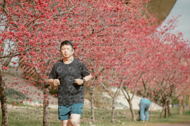 2026左岸竹東櫻花馬拉松Zhudong Sakura Marathon