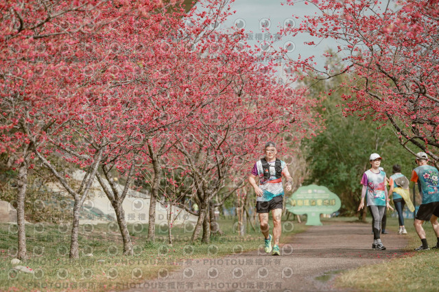 2026左岸竹東櫻花馬拉松Zhudong Sakura Marathon