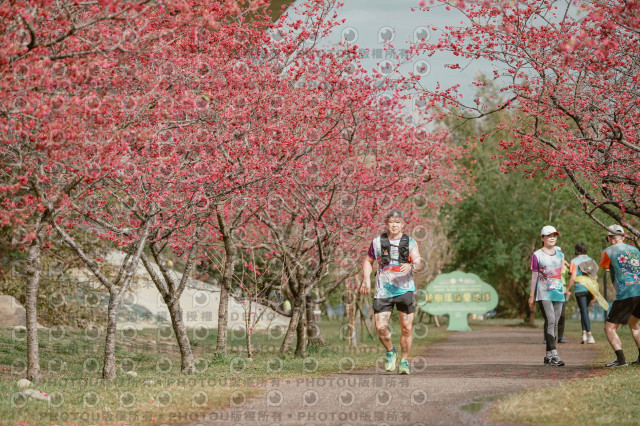 2026左岸竹東櫻花馬拉松Zhudong Sakura Marathon