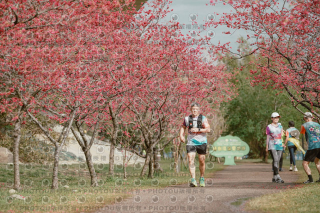 2026左岸竹東櫻花馬拉松Zhudong Sakura Marathon