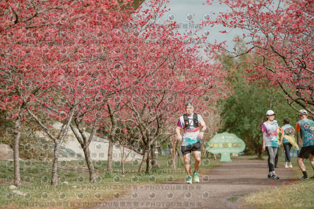 2026左岸竹東櫻花馬拉松Zhudong Sakura Marathon