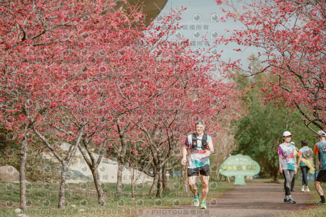 2026左岸竹東櫻花馬拉松Zhudong Sakura Marathon