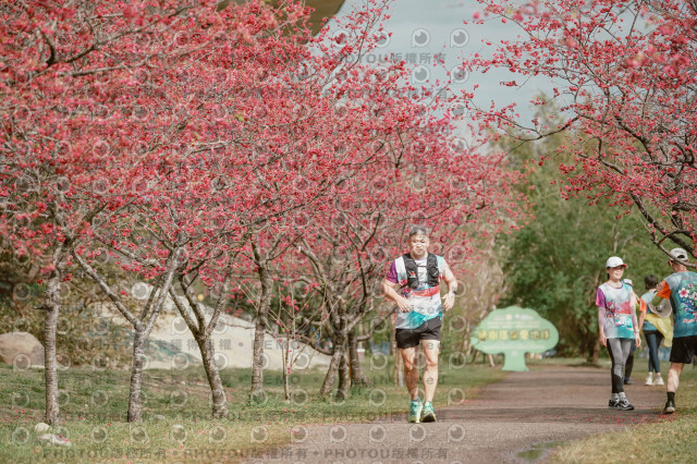2026左岸竹東櫻花馬拉松Zhudong Sakura Marathon