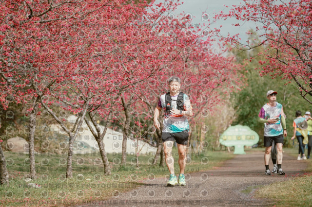 2026左岸竹東櫻花馬拉松Zhudong Sakura Marathon