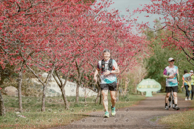 2026左岸竹東櫻花馬拉松Zhudong Sakura Marathon