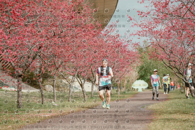 2026左岸竹東櫻花馬拉松Zhudong Sakura Marathon