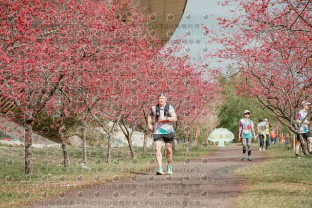 2026左岸竹東櫻花馬拉松Zhudong Sakura Marathon