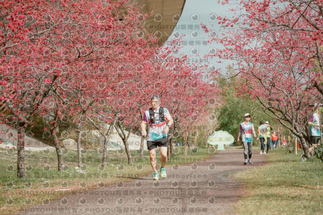 2026左岸竹東櫻花馬拉松Zhudong Sakura Marathon