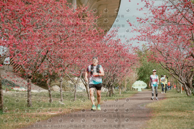 2026左岸竹東櫻花馬拉松Zhudong Sakura Marathon