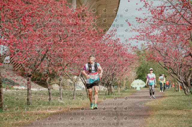 2026左岸竹東櫻花馬拉松Zhudong Sakura Marathon