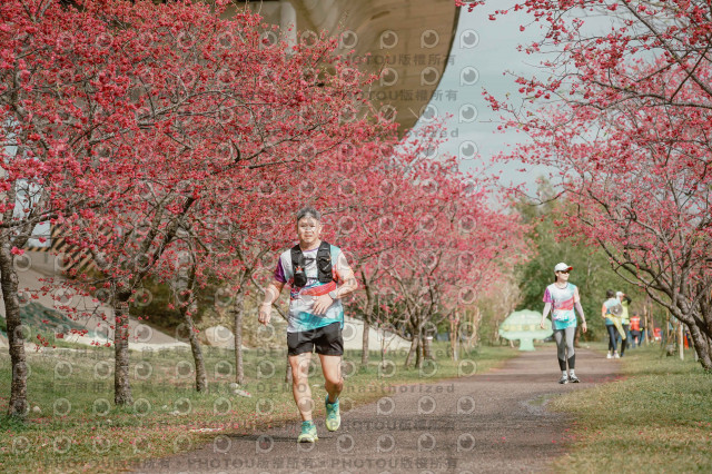 2026左岸竹東櫻花馬拉松Zhudong Sakura Marathon