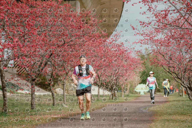 2026左岸竹東櫻花馬拉松Zhudong Sakura Marathon