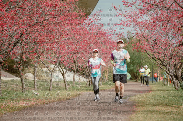 2026左岸竹東櫻花馬拉松Zhudong Sakura Marathon