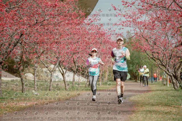 2026左岸竹東櫻花馬拉松Zhudong Sakura Marathon