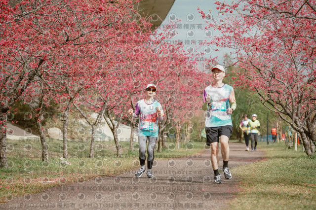 2026左岸竹東櫻花馬拉松Zhudong Sakura Marathon