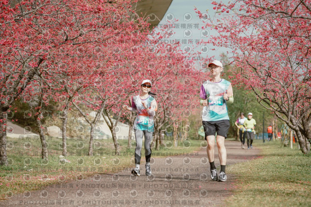 2026左岸竹東櫻花馬拉松Zhudong Sakura Marathon