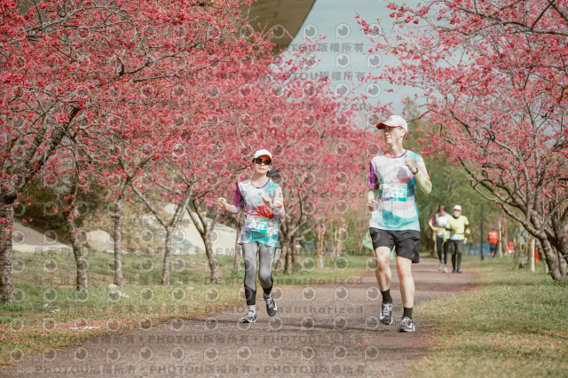 2026左岸竹東櫻花馬拉松Zhudong Sakura Marathon