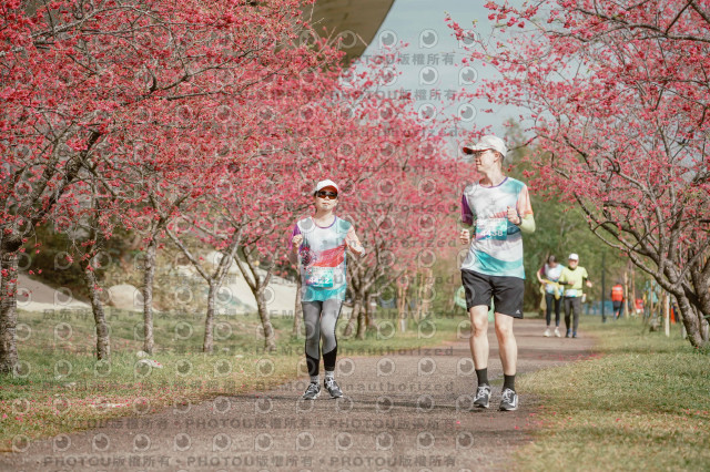 2026左岸竹東櫻花馬拉松Zhudong Sakura Marathon