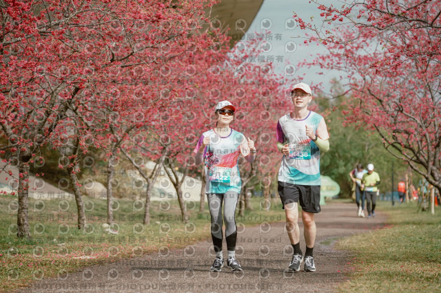 2026左岸竹東櫻花馬拉松Zhudong Sakura Marathon