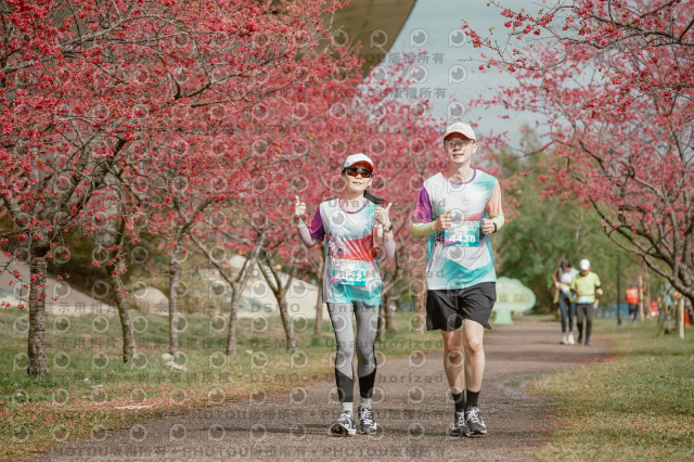 2026左岸竹東櫻花馬拉松Zhudong Sakura Marathon