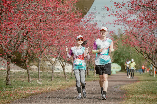 2026左岸竹東櫻花馬拉松Zhudong Sakura Marathon