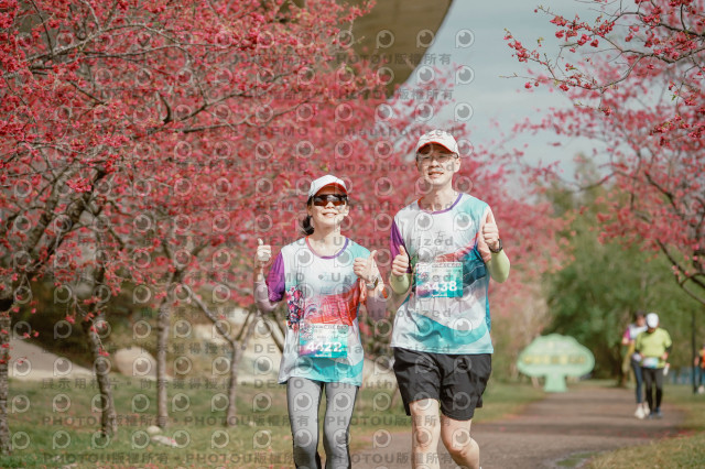 2026左岸竹東櫻花馬拉松Zhudong Sakura Marathon