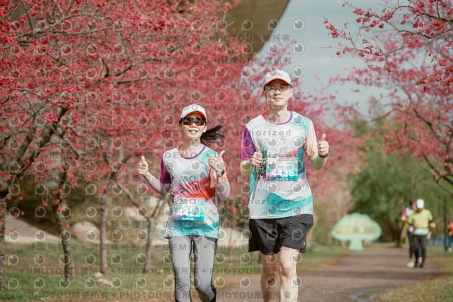2026左岸竹東櫻花馬拉松Zhudong Sakura Marathon