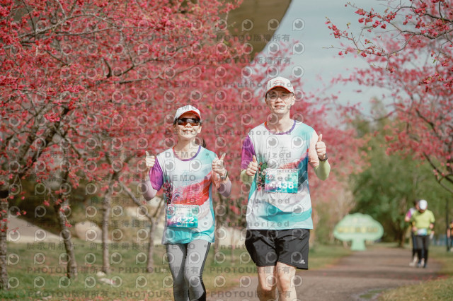 2026左岸竹東櫻花馬拉松Zhudong Sakura Marathon