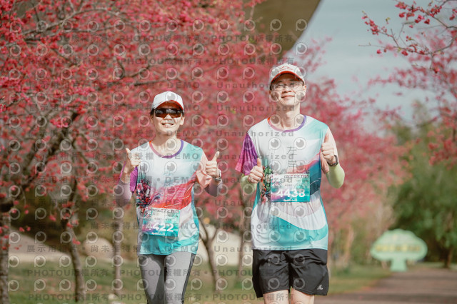 2026左岸竹東櫻花馬拉松Zhudong Sakura Marathon