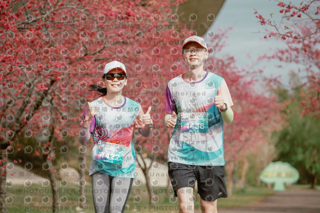 2026左岸竹東櫻花馬拉松Zhudong Sakura Marathon