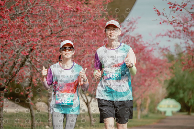 2026左岸竹東櫻花馬拉松Zhudong Sakura Marathon