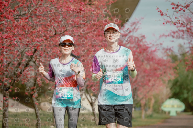 2026左岸竹東櫻花馬拉松Zhudong Sakura Marathon