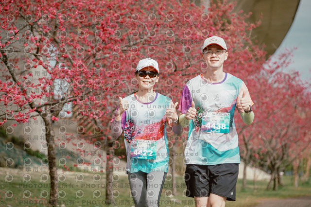 2026左岸竹東櫻花馬拉松Zhudong Sakura Marathon