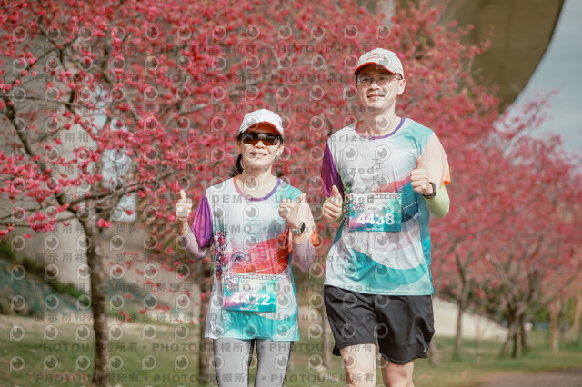 2026左岸竹東櫻花馬拉松Zhudong Sakura Marathon