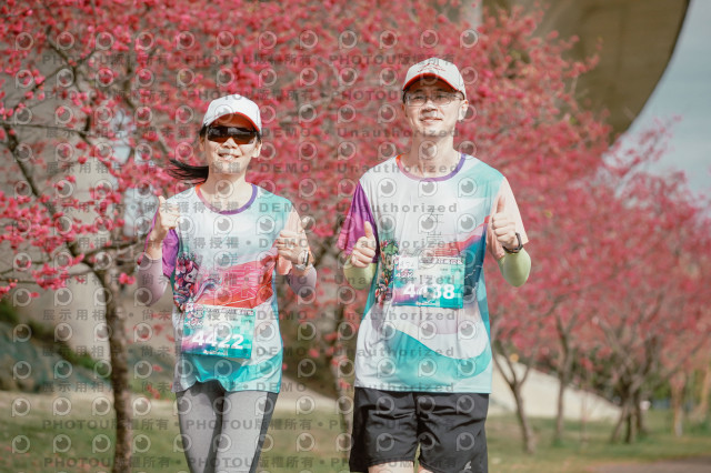 2026左岸竹東櫻花馬拉松Zhudong Sakura Marathon