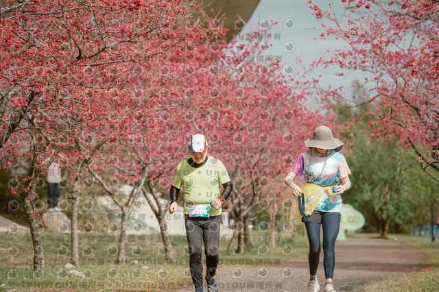 2026左岸竹東櫻花馬拉松Zhudong Sakura Marathon