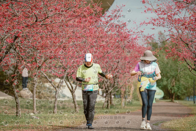 2026左岸竹東櫻花馬拉松Zhudong Sakura Marathon