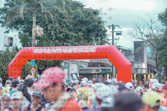 2026左岸竹東櫻花馬拉松Zhudong Sakura Marathon