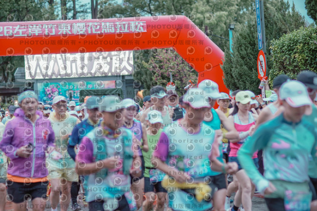 2026左岸竹東櫻花馬拉松Zhudong Sakura Marathon