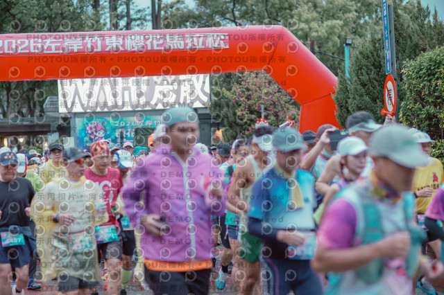 2026左岸竹東櫻花馬拉松Zhudong Sakura Marathon