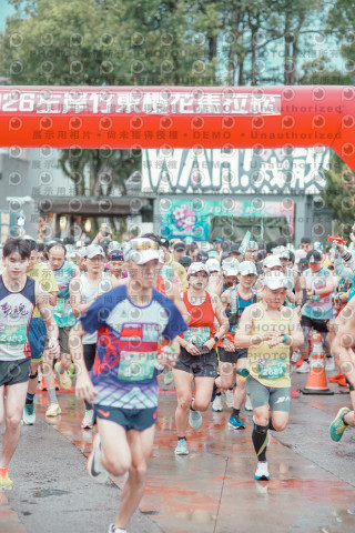 2026左岸竹東櫻花馬拉松Zhudong Sakura Marathon