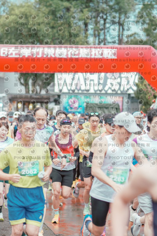 2026左岸竹東櫻花馬拉松Zhudong Sakura Marathon
