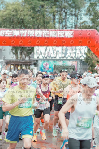 2026左岸竹東櫻花馬拉松Zhudong Sakura Marathon