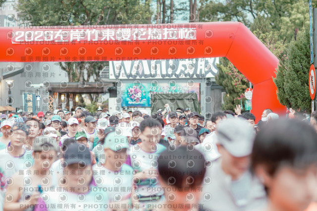 2026左岸竹東櫻花馬拉松Zhudong Sakura Marathon